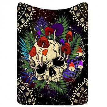 Lot de 5 Spid'boite 01