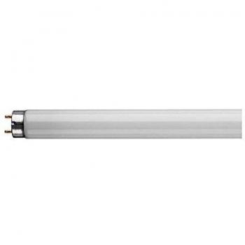 Crompton 15W T8 Triphosphor Tube Daylight