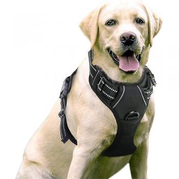 Arnés de Entrenamiento para Perros Negras