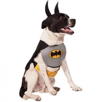 Batdog Dress-Up