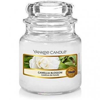 Yankee Candle Small Jar Scented Candle