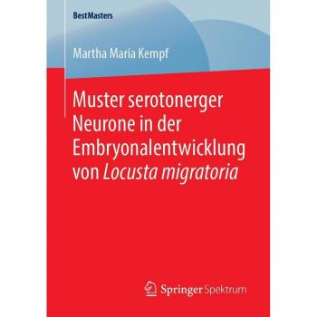 Muster serotonerger Neurone in der Embryonalentwicklung von Locusta migratoria