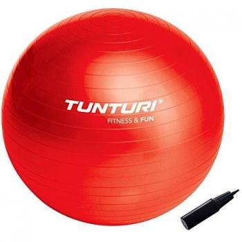 Tunturi Pelota de Fitness 65 cm