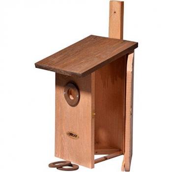 Dobar Vogelhaus Beobachtungs-Nistkasten Einblick, braun