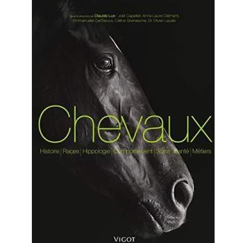 Chevaux et équitations