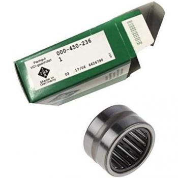 Cuscinetto ad aghi NK60/25-TV-XL 60 mm foro