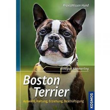 Boston Terrier: Auswahl, Haltung, Erziehung, Beschäftigung (Praxiswissen Hund)