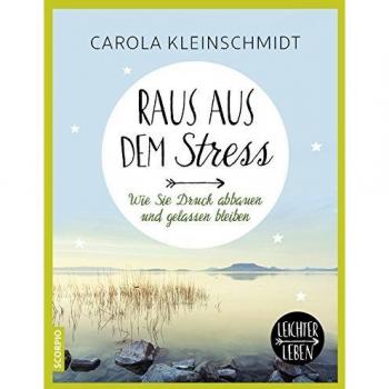Raus aus dem Stress. Wie Sie Druck abbauen und gelassen bleiben (Leichter leben)