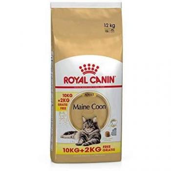 Royal Canin 12 kg pienso para gatos en oferta Maine Coon Adult