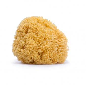 Suavinex 3302919 – Spugna Gialla Naturale