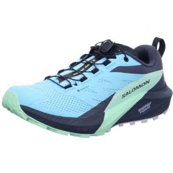 Salomon Sens Ride 5 Gtx Trail Sneakers Femme Turquoise / Vert