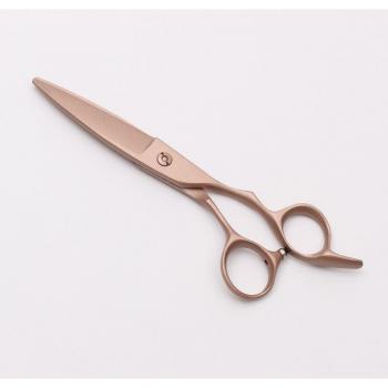 Salon Pro 6.0 Barber Thinning Shear – Premium Japanese Steel