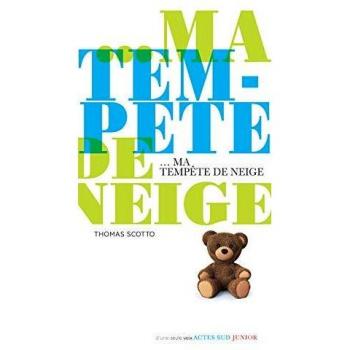 Ma tempete de neige