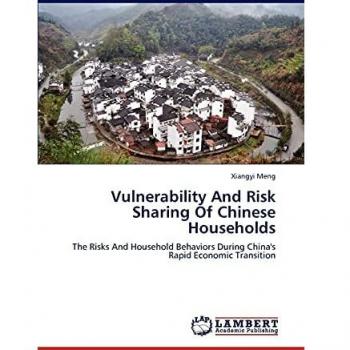 Vulnerability And Risk Sharing Of Chinese Households: The Risks And Household Behaviors During China's Rapid Economic Transition