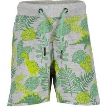 Brouillard Actif Shorts BLUE SEVEN