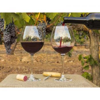 Aventura En Bodegas: Visita Y Cata De Vinos Andaluces