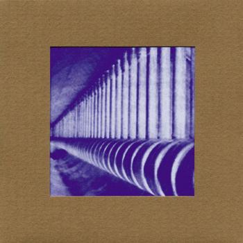 Do make say think vinyl lp