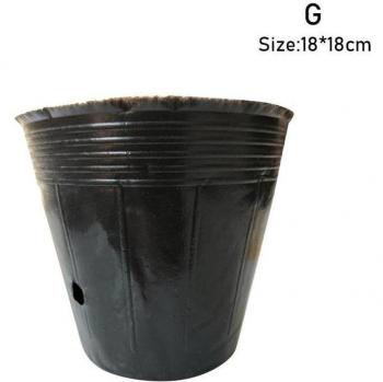 Taza de Crecimiento Plantas