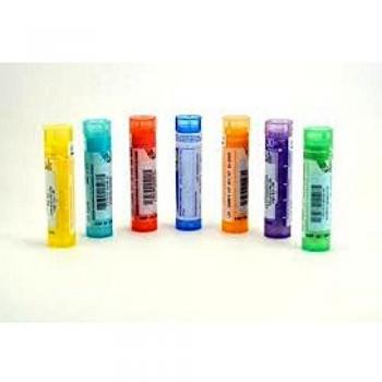 Castaño Vecta Gemme 30ml