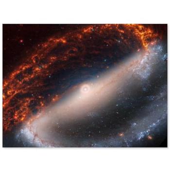 NGC 1300 Cosmic Spiral Poster