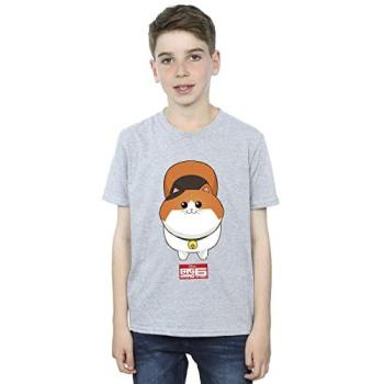 Baymax Feline Face T-Shirt (Grey)