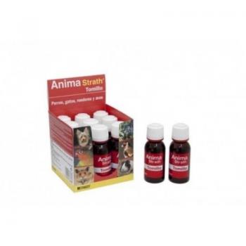 Energy Surge 30 ml