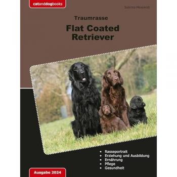 Traumrasse Flat Coated Retriever