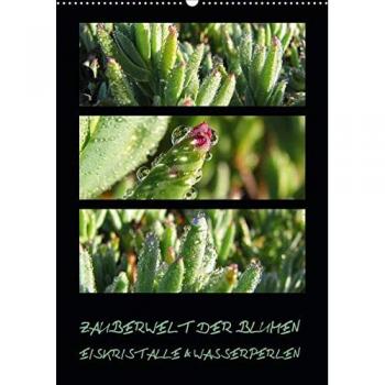 ZAUBERWELT DER BLUMEN