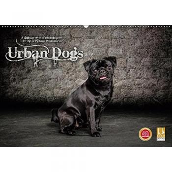 Urban Dogs