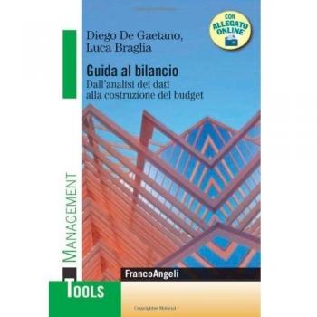 Guida al bilancio. Dall'analisi dei dati alla costruzione del budget