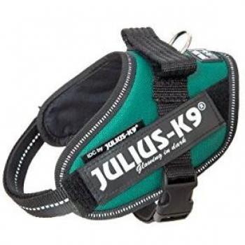 Pettorina Verde Smeraldo Julius K9 Mini Mini
