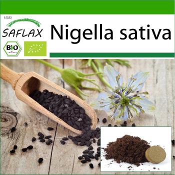 Safflax Bio Cumin Noir 300 graines + sachet de substrat de rempotage