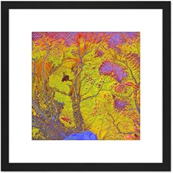 Radiant Mycelium Spiral: 8x8 Art Print with Wooden Mount