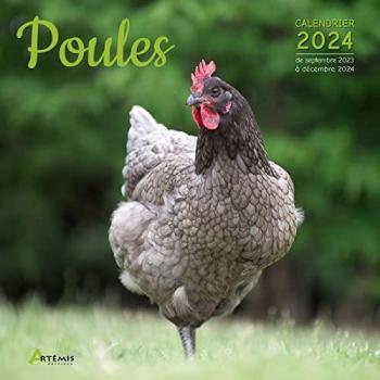 Artémis