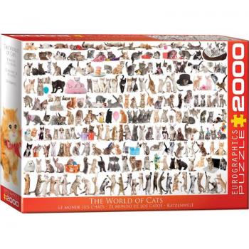 Eurographics 2000 Teile Puzzle