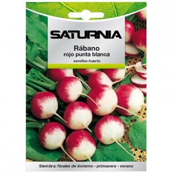 Rabano Rojo Grande – Semillas Premium “Punta Blanca”