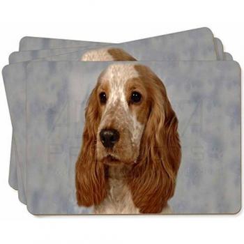Orange Roan Spaniel Table Mat Gift Pack