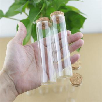 6 Piece Corked Glass Vial Set