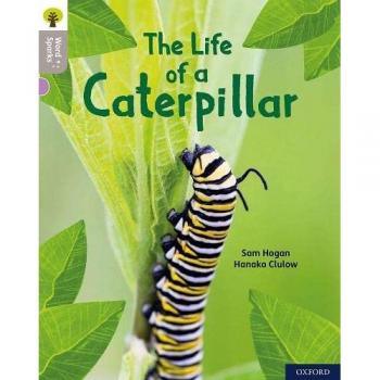 Oxford Reading Tree Word Sparks: Level 1: The Life of a Caterpillar Book