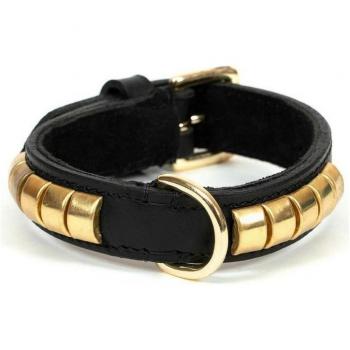 Collar para Mascotas Gloria Duna Negro Dorado (40 x 2 cm)
