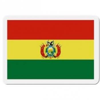 Synthetic Resin 10 cm Bolivia Flag Magnet Collection – 50 Pieces, Multi‑Color