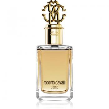 Roberto Cavalli Uomo Fragrance for Men 100 ml