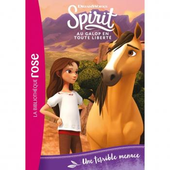Spirit 12