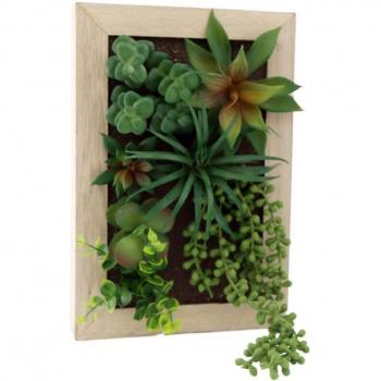 Cadre mural avec succulente 20 x 30 cm