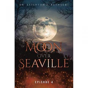 Moon over Seaville: Episode 4: The End?