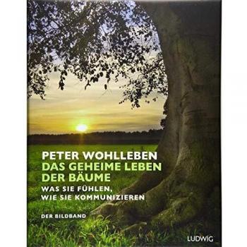 Das geheime Leben der Bäume