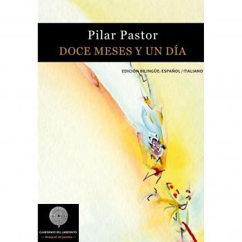 Doce meses y un día (Anaquel de poesía)