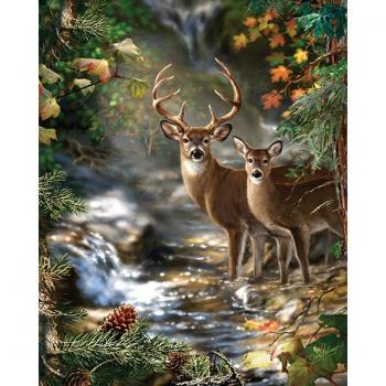 Deer by the River 5D Diamond Art Pack – 20x30 cm