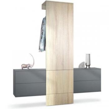 Vestiaire 3 Portes Carlton Anthracite