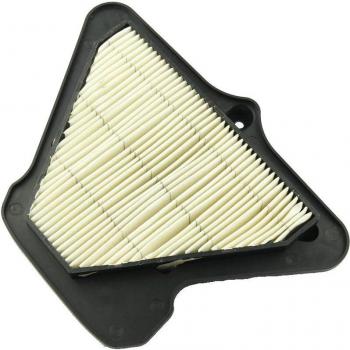 Kawasaki 11013-0041 NINJA ZX-10R ZX1000 Air Filter Cleaner Replacement